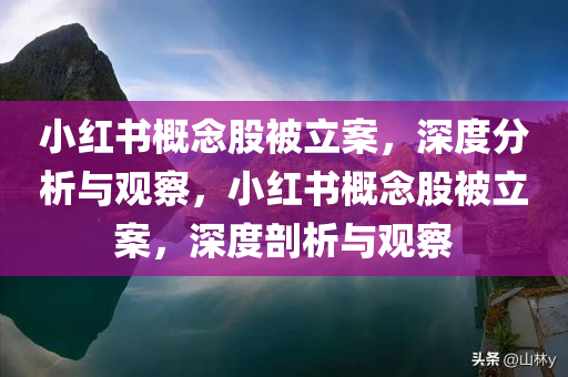 小红书概念股被立案，深度分析与观察，小红书概念股被立案，深度剖析与观察