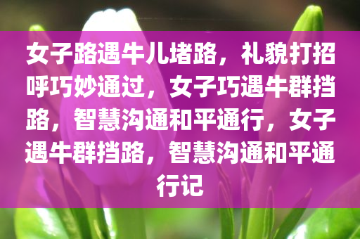 女子路遇牛儿堵路，礼貌打招呼巧妙通过，女子巧遇牛群挡路，智慧沟通和平通行，女子遇牛群挡路，智慧沟通和平通行记