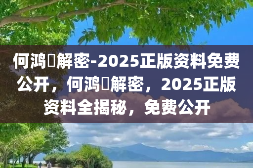 何鸿燊解密-2025正版资料免费公开，何鸿燊解密，2025正版资料全揭秘，免费公开