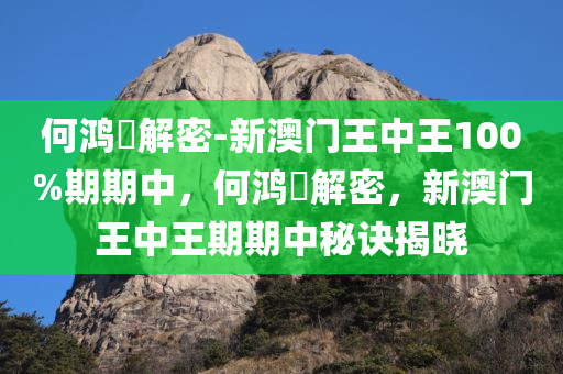 何鸿燊解密-新澳门王中王100%期期中，何鸿燊解密，新澳门王中王期期中秘诀揭晓，何鸿燊揭秘，新澳门王中王期期中秘诀与解密之道