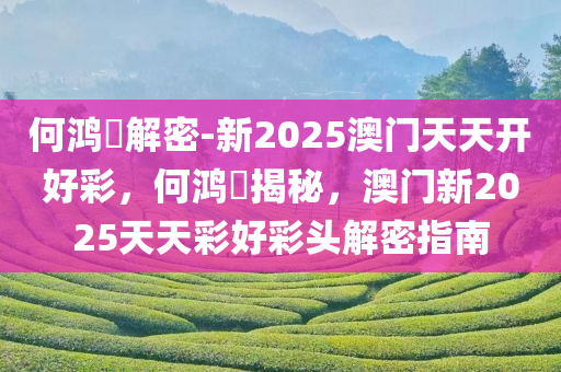 何鸿燊解密-新2025澳门天天开好彩，何鸿燊揭秘，澳门新2025天天彩好彩头解密指南，何鸿燊揭秘澳门新2025天天彩好彩头解密指南