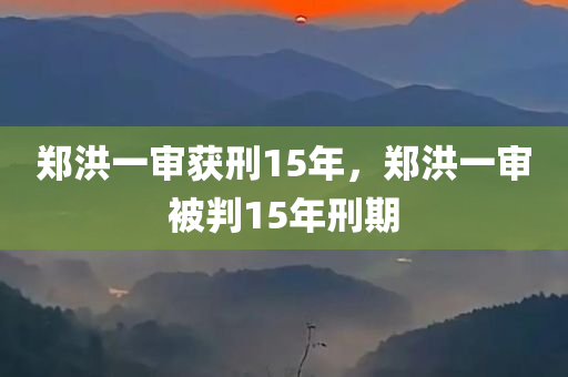 郑洪一审获刑15年，郑洪一审被判15年刑期，郑洪一审被判刑期15年
