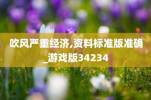 吹风严重经济,资料标准版准确_游戏版34234