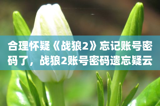 合理怀疑《战狼2》忘记账号密码了，战狼2账号密码遗忘疑云，战狼2账号密码遗忘疑云，影片背后的技术挑战与观众猜想