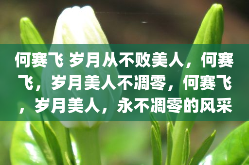 何赛飞 岁月从不败美人，何赛飞，岁月美人不凋零，何赛飞，岁月美人，永不凋零的风采