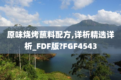 原味烧烤蘸料配方,详析精选详析_FDF版?FGF4543