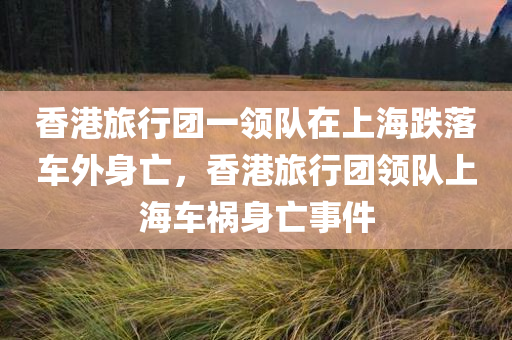 香港旅行团一领队在上海跌落车外身亡，香港旅行团领队上海车祸身亡事件，香港旅行团领队上海车祸身亡事件报道