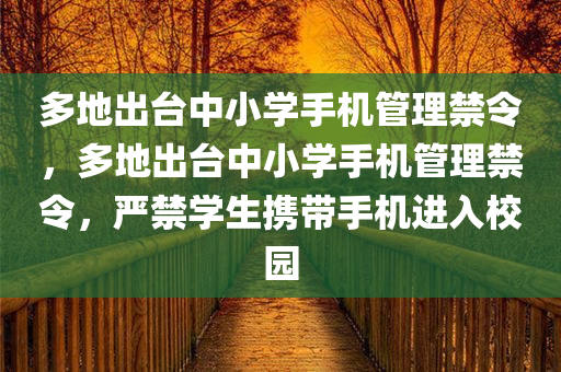 多地出台中小学手机管理禁令，多地出台中小学手机管理禁令，严禁学生携带手机进入校园，多地出台中小学手机管理禁令，禁止学生携带手机进校园