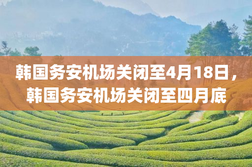 韩国务安机场关闭至4月18日，韩国务安机场关闭至四月底