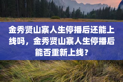 金秀贤山寨人生停播后还能上线吗，金秀贤山寨人生停播后能否重新上线？