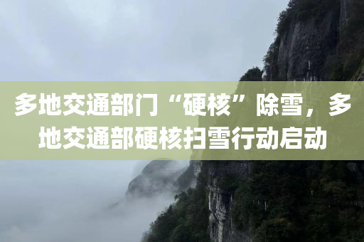 多地交通部门“硬核”除雪，多地交通部硬核扫雪行动启动
