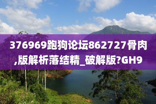 376969跑狗论坛862727骨肉,版解析落结精_破解版?GH9