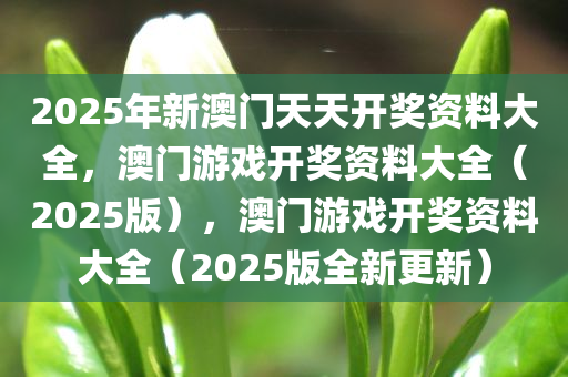 2025年新澳门天天开奖资料大全，澳门游戏开奖资料大全（2025版），澳门游戏开奖资料大全（2025版全新更新）