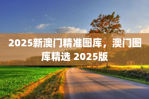 2025新澳门精准图库，澳门图库精选 2025版