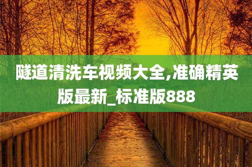 隧道清洗车视频大全,准确精英版最新_标准版888今晚必出三肖2025_2025新澳门精准免费提供·精确判断