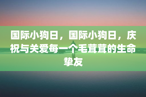 国际小狗日，国际小狗日，庆祝与关爱每一个毛茸茸的生命挚友
