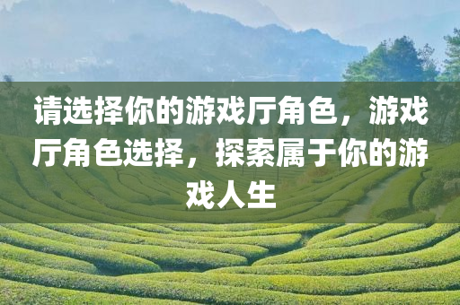 请选择你的游戏厅角色，游戏厅角色选择，探索属于你的游戏人生
