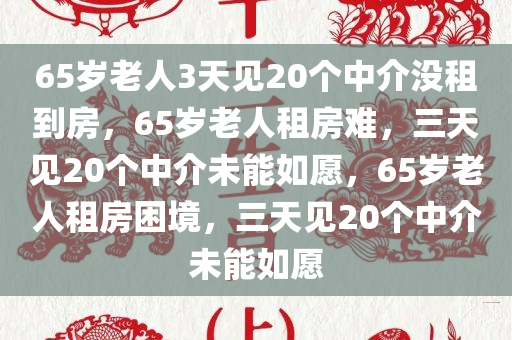 65岁老人3天见20个中介没租到房，65岁老人租房难，三天见20个中介未能如愿，65岁老人租房困境，三天见20个中介未能如愿