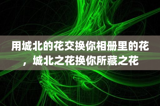 用城北的花交换你相册里的花，城北之花换你所藏之花