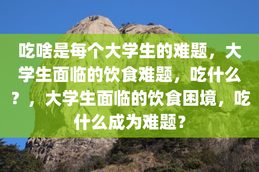 吃啥是每个大学生的难题，大学生面临的饮食难题，吃什么？，大学生面临的饮食困境，吃什么成为难题？