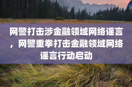 网警打击涉金融领域网络谣言，网警重拳打击金融领域网络谣言行动启动，网警启动重拳打击金融领域网络谣言行动