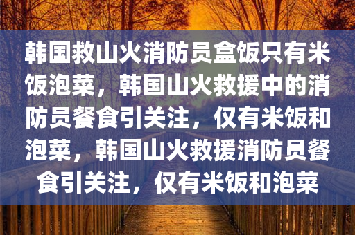 韩国救山火消防员盒饭只有米饭泡菜，韩国山火救援中的消防员餐食引关注，仅有米饭和泡菜，韩国山火救援消防员餐食引关注，仅有米饭和泡菜