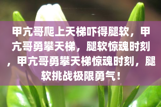 甲亢哥爬上天梯吓得腿软，甲亢哥勇攀天梯，腿软惊魂时刻，甲亢哥勇攀天梯惊魂时刻，腿软挑战极限勇气！