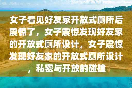 女子看见好友家开放式厕所后震惊了，女子震惊发现好友家的开放式厕所设计，女子震惊发现好友家的开放式厕所设计，私密与开放的碰撞