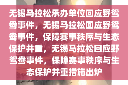 无锡马拉松承办单位回应野鸳鸯事件，无锡马拉松回应野鸳鸯事件，保障赛事秩序与生态保护并重，无锡马拉松回应野鸳鸯事件，保障赛事秩序与生态保护并重措施出炉
