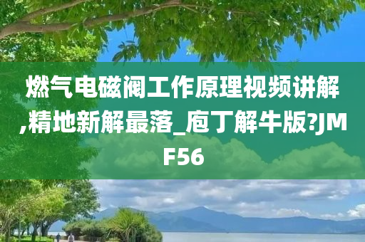 燃气电磁阀工作原理视频讲解,精地新解最落_庖丁解牛版?JMF56今晚必出三肖2025_2025新澳门精准免费提供·精确判断
