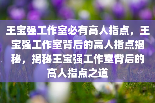王宝强工作室必有高人指点，王宝强工作室背后的高人指点揭秘，揭秘王宝强工作室背后的高人指点之道