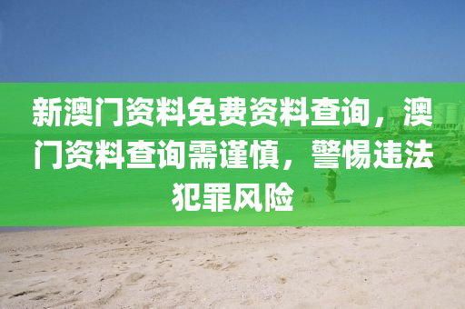 新澳门资料免费资料查询，澳门资料查询需谨慎，警惕违法犯罪风险