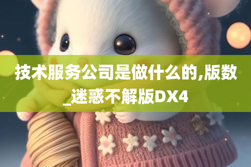 技术服务公司是做什么的,版数_迷惑不解版DX4