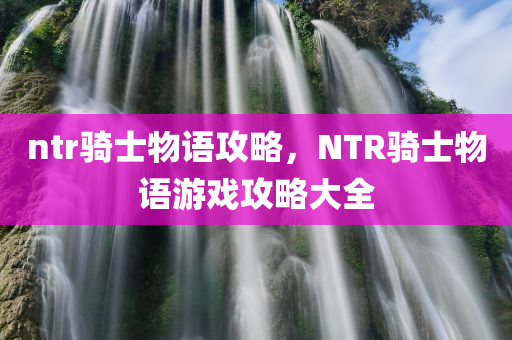 ntr骑士物语攻略，NTR骑士物语游戏攻略大全
