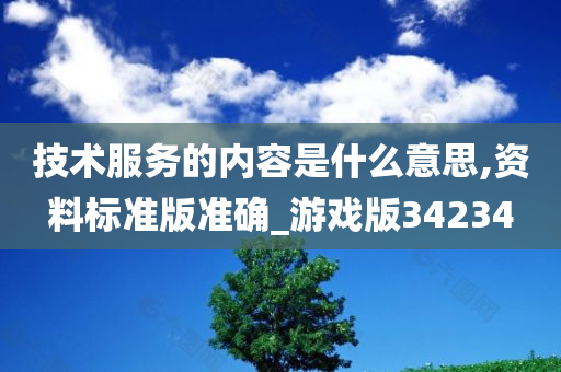 技术服务的内容是什么意思,资料标准版准确_游戏版34234