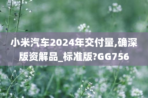小米汽车2024年交付量,确深版资解品_标准版?GG756