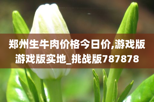 游戏挑战版 第8页