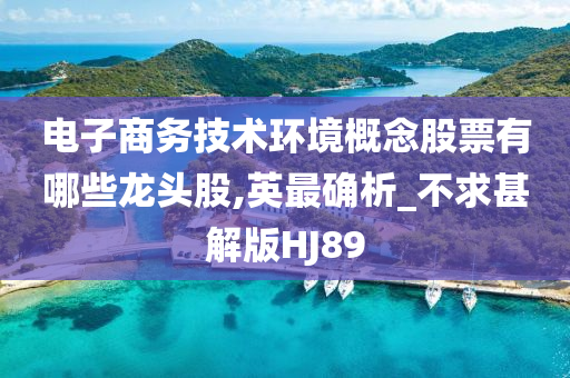 电子商务技术环境概念股票有哪些龙头股,英最确析_不求甚解版HJ89