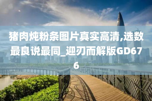 今晚必出三肖2025_2025新澳门精准免费提供·精确判断猪肉炖粉条图片真实高清,选数最良说最同_迎刃而解版GD676