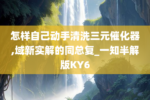 怎样自己动手清洗三元催化器,域新实解的同总复_一知半解版KY6