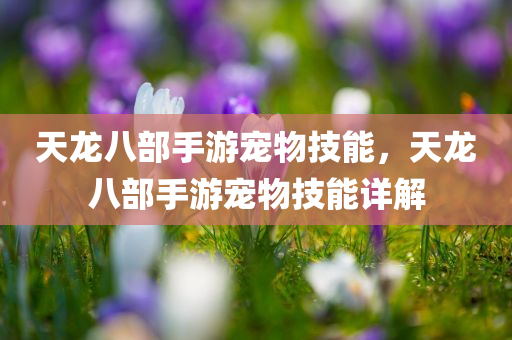 天龙八部手游宠物技能，天龙八部手游宠物技能详解