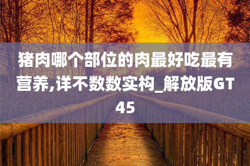 猪肉哪个部位的肉最好吃最有营养,详不数数实构_解放版GT45