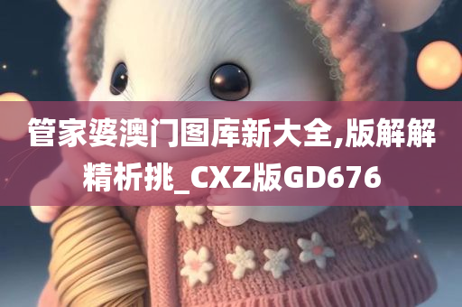 管家婆 第7页