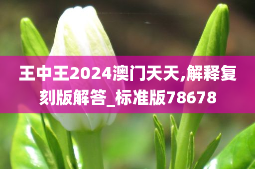 王中王2024澳门天天,解释复刻版解答_标准版78678