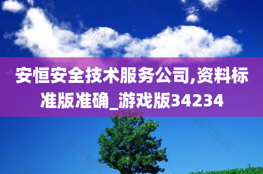 安恒安全技术服务公司,资料标准版准确_游戏版34234