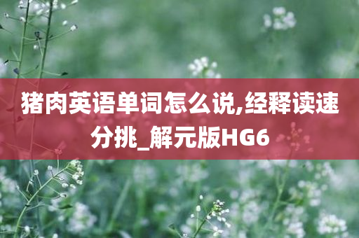 猪肉英语单词怎么说,经释读速分挑_解元版HG6