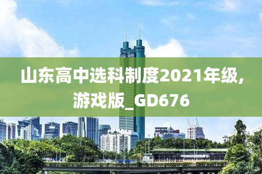 山东高中选科制度2021年级,游戏版_GD676