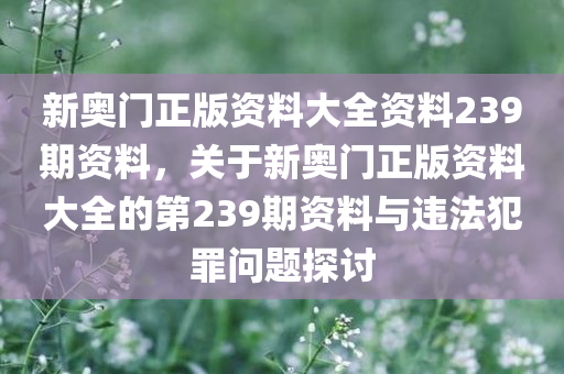 新奥门正版资料大全资料239期资料，关于新奥门正版资料大全的第239期资料与违法犯罪问题探讨