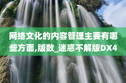 网络文化的内容管理主要有哪些方面,版数_迷惑不解版DX4