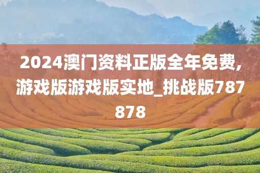 2024澳门资料正版全年免费,游戏版游戏版实地_挑战版787878